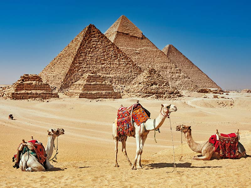 Die legendaeren Pyramiden von Gizeh mit ruhenden Kamelen im Vordergrund